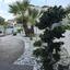 4 bedroom detached house for sale aradippou larnaca 8051193 thumbnail 14012287