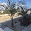 4 bedroom detached house for sale aradippou larnaca 8051193 thumbnail 14012302