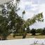 4 bedroom detached house for sale souni zanakia limassol 8375193 thumbnail 15277544