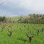 land for sale theletra paphos 945293 thumbnail 846978