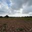 land for sale tremithousa paphos 1326293 thumbnail 2448455