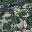 3646 SQM Plot for sale in Fyti, Paphos thumbnail 14228656