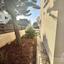 3 bedroom detached house for sale dekeleia larnaca 7905393 thumbnail 14788089