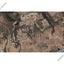 land for sale agios theodoros larnacas larnaca 1685393 thumbnail 6012047