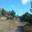 land for sale peristerona pafou paphos 8630393 thumbnail 16685548