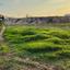 plot for sale parekklisia limassol 1677393 thumbnail 4338875