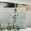 2 bedroom apartment for sale paphos municipality paphos 1270493 thumbnail 5574952