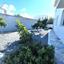 4 bedroom semi detached house off market saint george peyia paphos 8395493 thumbnail 15828751