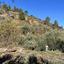 land for sale palaichori oreinis nicosia 1689493 thumbnail 15597205