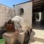 plot for sale dasoupoli nicosia 1779493 thumbnail 16747952