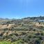 1 bedroom apartment for rent peyia paphos 8758593 thumbnail 16553754