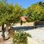 3 bedroom bungalow for sale coral bay paphos 1455593 thumbnail 13844051