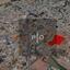 plot for sale pano lakatamia nicosia 8083593 thumbnail 15144764