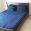 1 bedroom apartment for rent aglantzia nicosia 8698693 thumbnail 16337409