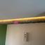 1 bedroom apartment for rent platy aglantzias nicosia 1915793 thumbnail 16330127