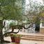 4 bedroom detached house for sale agioi omologitai nicosia 1153793 thumbnail 5173774