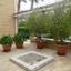 4 bedroom detached house for sale agioi omologitai nicosia 1153793 thumbnail 5173800