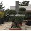 5 bedroom detached house for sale moniatis limassol 1707793 thumbnail 5526961