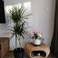 studio apartment for rent mouttagiaka limassol 1679793 thumbnail 16341193