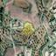 land for sale kornos larnaca 7870893 thumbnail 11380020