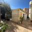 studio shop for rent paphos municipality paphos 8748893 thumbnail 16524172