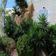 3 bedroom detached house for sale kato paphos universal paphos 8045993 thumbnail 13606191