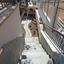 8 bedroom apartment for sale platy aglantzias nicosia 8570993 thumbnail 16240732