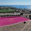 land for sale agios theodoros larnacas larnaca 1548993 thumbnail 5655736