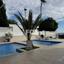 2 bedroom apartment for rent potamos germasogeias limassol 8926004 thumbnail 17601493