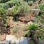 4 bedroom detached house for sale faneromeni larnaca 8736004 thumbnail 16346020