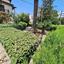 4 bedroom detached house for sale faneromeni larnaca 8736004 thumbnail 16346021