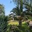 4 bedroom detached house for sale makedonitissa nicosia 1730004 thumbnail 5552744