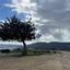land for sale agios georgios silikou limassol 8759004 thumbnail 16530240