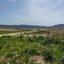 land for sale agios georgios silikou limassol 8759004 thumbnail 16530244