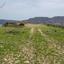 land for sale agios georgios silikou limassol 8759004 thumbnail 16530245