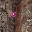 land for sale agrokipia nicosia 7872004 thumbnail 11383817