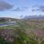 13016 SQM Land for sale in Statos Agios Fotios, Paphos thumbnail 15599428