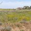 686 SQM Plot for sale in Lympia, Nicosia thumbnail 16175763
