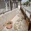 4 bedroom detached house for rent polemi paphos 8500104 thumbnail 15325823