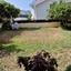 4 bedroom detached house for sale strovolos nicosia 1443104 thumbnail 15358984
