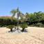 6 bedroom detached house for rent dekeleia larnaca 8255104 thumbnail 13902648