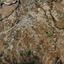 land for sale klirou nicosia 8946104 thumbnail 17699040
