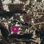land for sale neo chorio paphos 1213104 thumbnail 14888695
