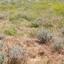 plot for sale lympia nicosia 1062104 thumbnail 16175759