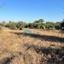 1134 SQM Land for sale in Pera Orinis, Nicosia thumbnail 16777820