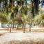 2 bedroom apartment for sale potamos germasogeias limassol 1273204 thumbnail 6019920