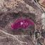 land for sale agios theodoros larnacas larnaca 8275204 thumbnail 15740759
