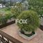 7 bedroom detached house for sale asgata limassol 1704304 thumbnail 5678879