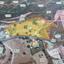 land for sale choirokoitia larnaca 1448304 thumbnail 4940423