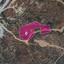 land for sale parekklisia limassol 1650304 thumbnail 5667968